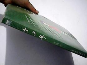 女少年