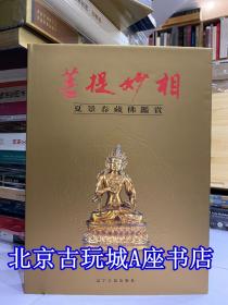 菩提妙相  夏景春藏佛鉴赏【辽宁人民出版社】