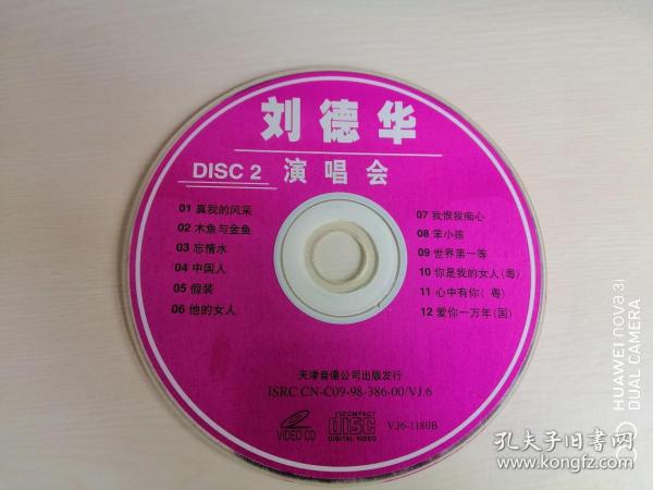 vcd 刘德华演唱会(裸盘)