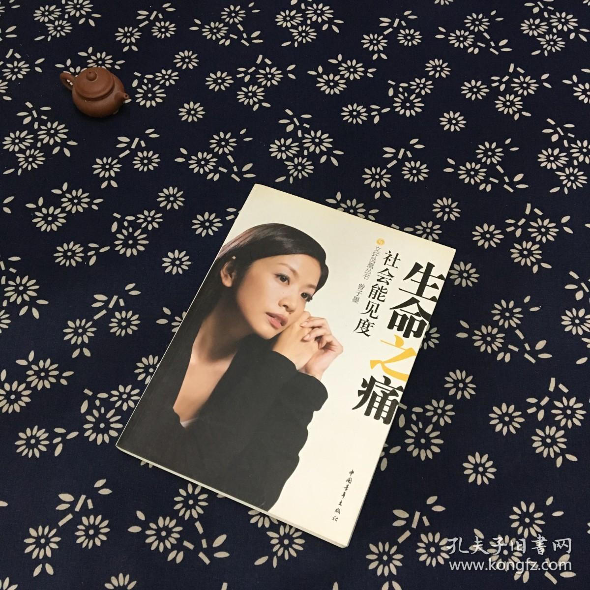 生命之痛:社会能见度 访谈集