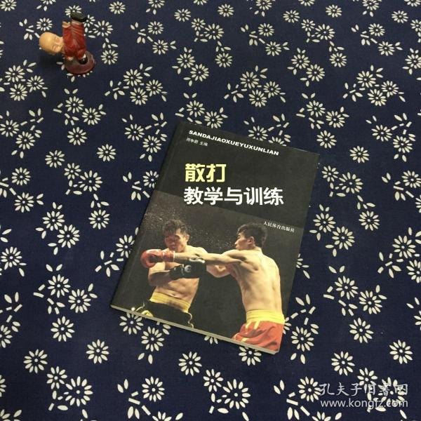 散打教学与训练