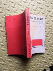 小说审美意识