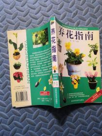 养花指南