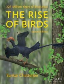 The Rise Of Birds /Sankar Chatterjee