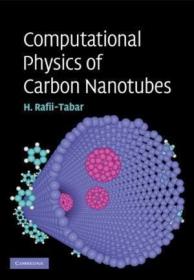 Computational Physics Of Carbon Nanotubes