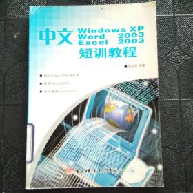 中文版windows xp word2003 excel2003  短训教程