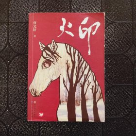 《火印》低价购书_曹文轩 著_童书_孔网
