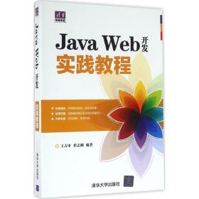 Java Web开发实践教程 王占中 9787302418474