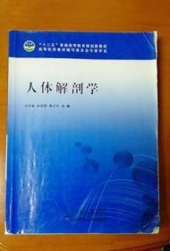 人体解剖学 吴仲敏 天津出版传媒集团 9787557610579 正版旧书