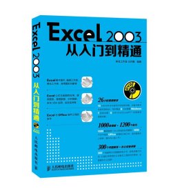 Excel 2003从入门到精通 王作鹏 人民邮电出版社 9787115301406 正版旧书