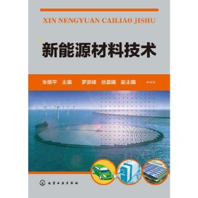 新能源材料技术 朱继平 化学工业出版社 9787122218209 正版旧书