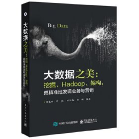 大数据之美:挖掘、Hadoop、架构,更精准地发现业务与营销 黄宏程 电子工业出版社 9787121293443 正版旧书