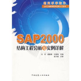 SAP2000结构工程分析及实例详解 闫冬 中国建筑工业出版社 9787112110551 正版旧书