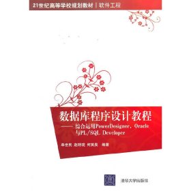 数据库程序设计教程:综合运用PowerDesigner,Oracle与PL/SQL Developer 单世民 清华大学出版社 9787302232957 正版旧书