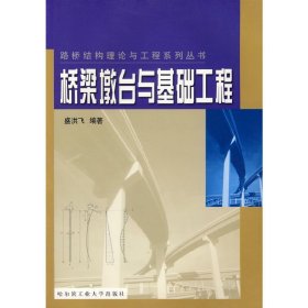 桥梁墩台与基础工程 盛洪飞 哈尔滨工业大学出版社 9787560317700 正版旧书