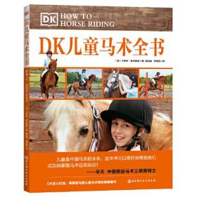 DKͯȫ飨װ