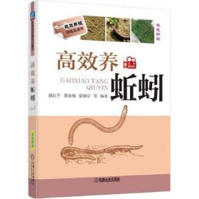 高效养蚯蚓