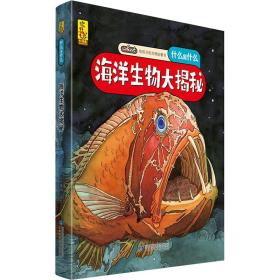 ӵ顤ʲôʲô  װ汾