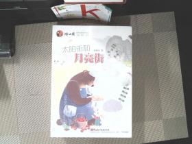 冰心奖获奖作家原创书系：太阳街和月亮街