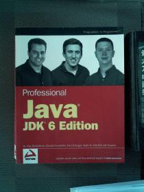 Professional Java JDK 6 Edition