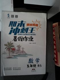期末冲刺王 暑假作业 数学 五年级 bs