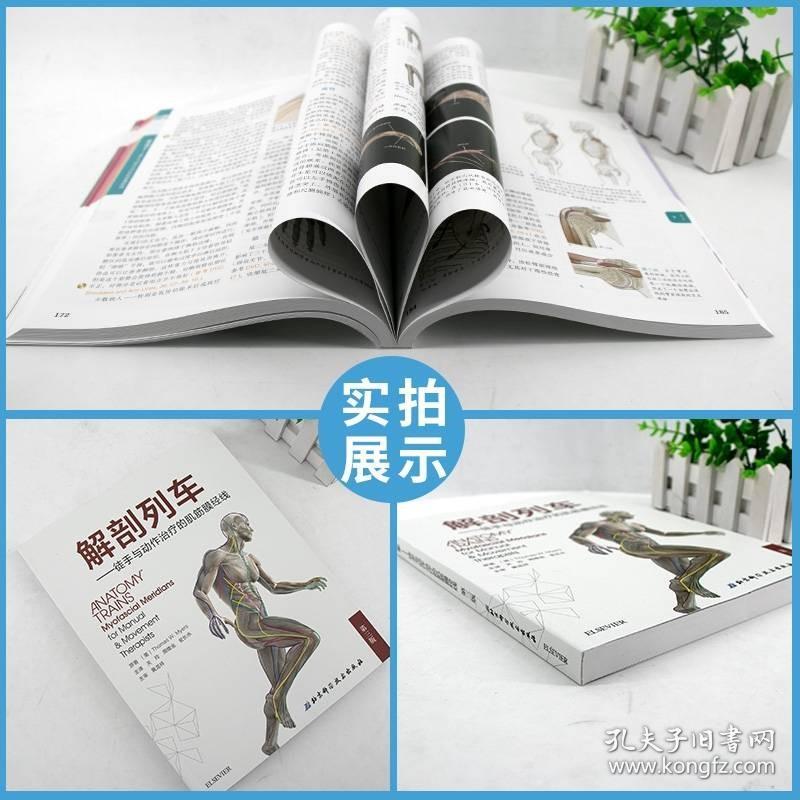 人体解剖彩色图谱肌肉功能测试全书筋膜书籍解剖图谱解破解刨筋膜列车