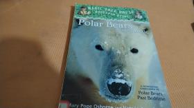 Polar Bears and the Arctic