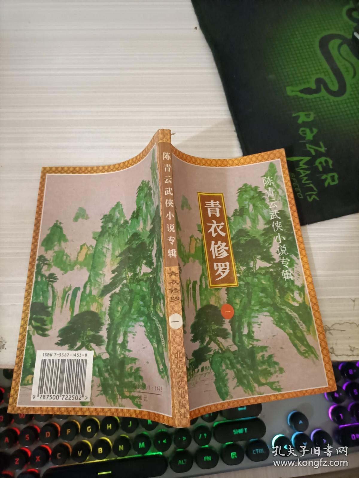 网游青衣修罗小说