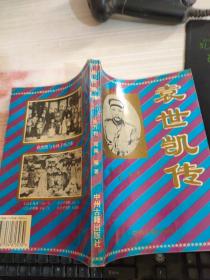 袁世凯传