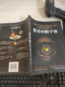 果壳中的宇宙