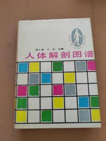 人體解剖圖譜
