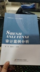 审计案例分析