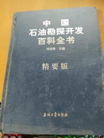 中国石油勘探开发百科全书 精要版