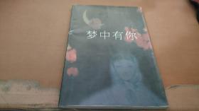 梦中有你