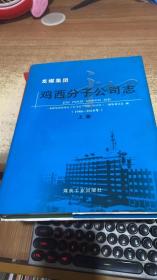 龙煤集团鸡西分子公司志(1986-2010年上)(精)