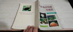 热带鱼的饲养与观赏
