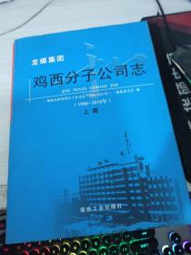 龙煤集团鸡西分子公司志(1986-2010年上册)