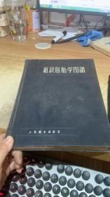 组织胚胎学图谱
