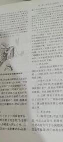 腹部外科手术技巧