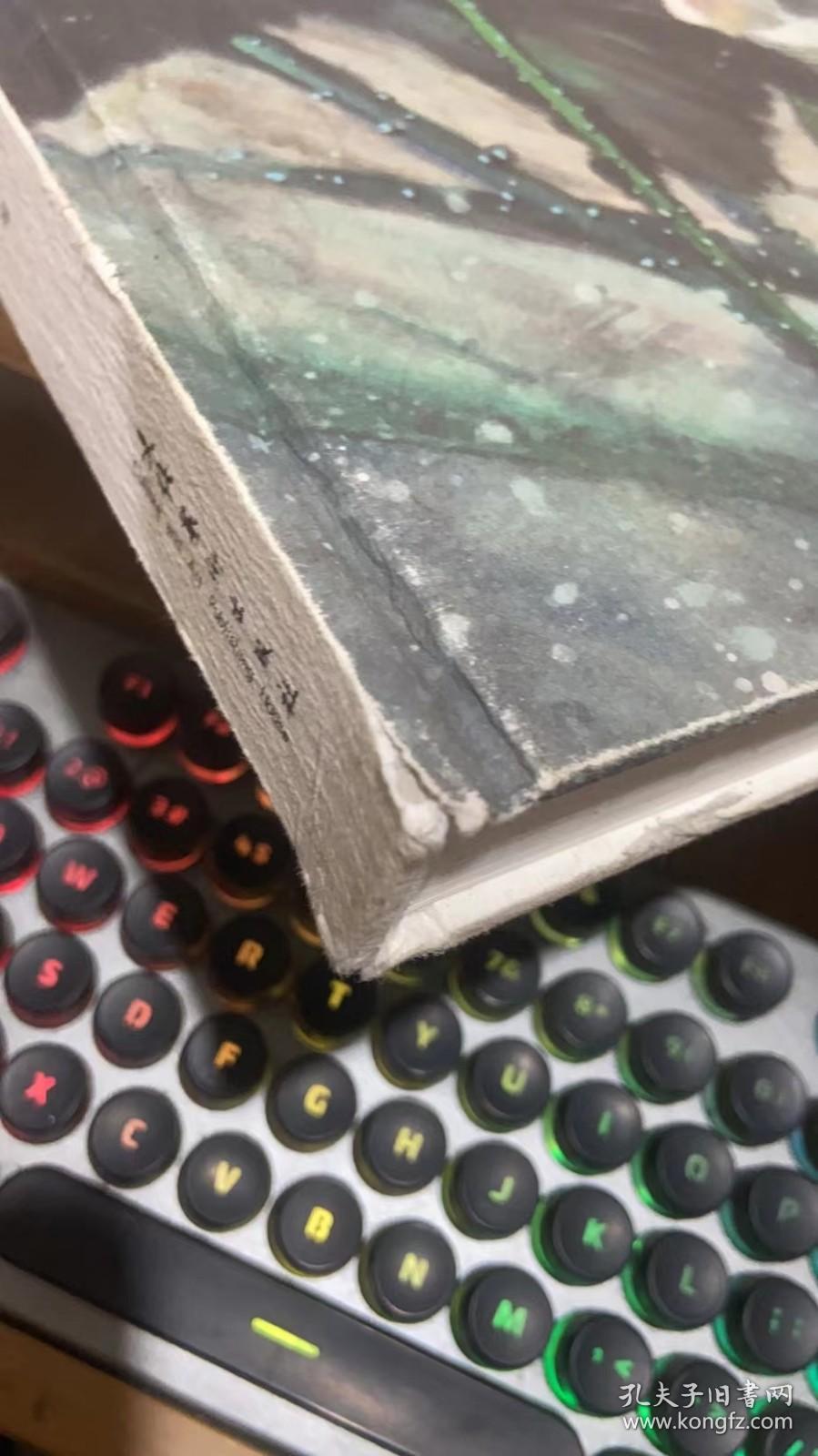 英小乐彩墨画集