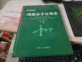龙煤集团鸡西分子公司志(1986-2010年下册)