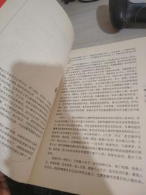 高手身影：中国商业原生态实战案例