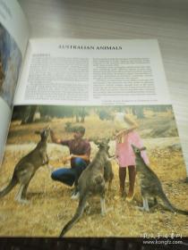 AUSTRALIA\S ANIMALS