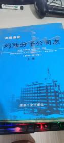 龙煤集团鸡西分子公司志(1986-2010年上)