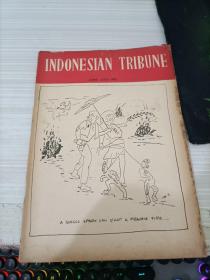 INDONESIAN TRIBUNE