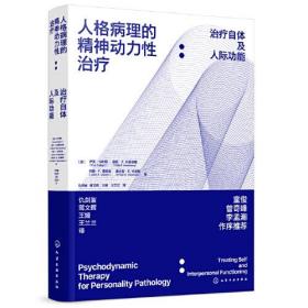 人格病理的精神动力性治疗:治疗自体及人际功能