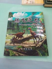 腾飞之龙：中国长羽毛恐龙与鸟类起源。