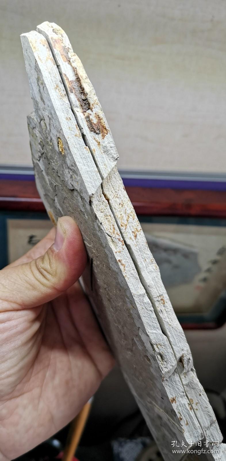 朝阳凌源大王杖子精品狼鳍鱼对板黑鱼化石