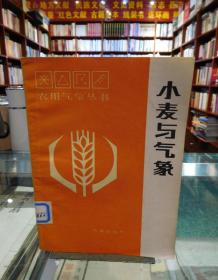 农用气象丛书：小麦与气象（馆藏）一版一印
