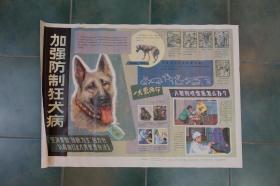 加强防制狂犬病、全社会参与遏制艾滋病流行（对开宣传画2张合售）